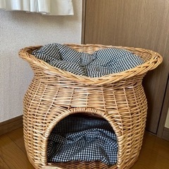 犬　部屋　かご　ペット　決定しました