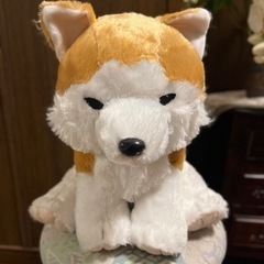 【新品】 柴犬　おもちゃ ぬいぐるみ