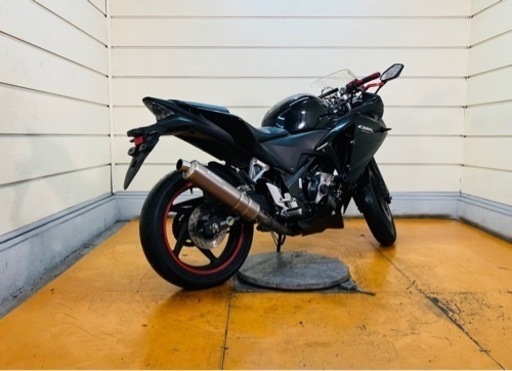 36137km CBR250R ホンダ MC41 中型☆ 始動動画あり