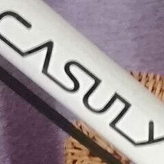 CASULY 27ｲﾝﾁ お取引中です。