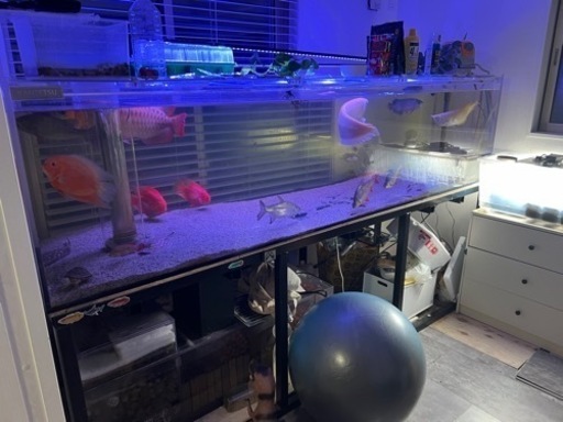 KANTETU 2400水槽　最終値下げ