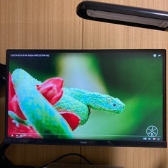 IIYAMA 24型　モニター