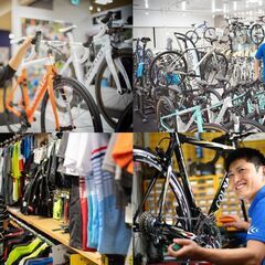 スポーツ自転車専門店の販売スタッフ - 営業