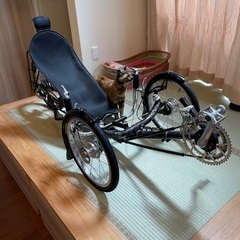 着払い対応 乗ってみたいだけの方、歓迎 折り畳みリカンベント 学生値引き