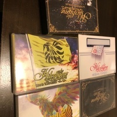 Hilcrhyme ライブDVD    まとめ売り