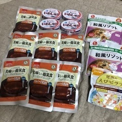 食品セット  ハンバーグ  いわし  缶詰  和風リゾット  ご...