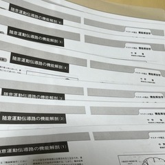 マスターの要点　機能解剖学プリント1〜49