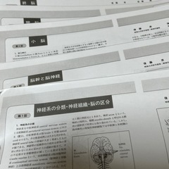 マスターの要点　神経解剖学1〜12プリント