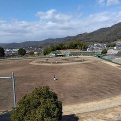 草野球部員募集