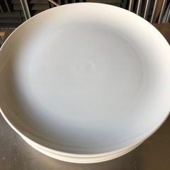 洋皿　大皿　6枚セット