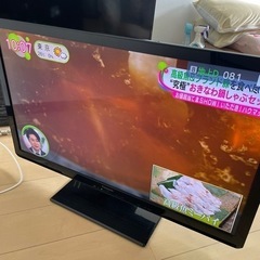 家電 テレビ 液晶テレビ