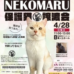 ねこまる保護猫譲渡会