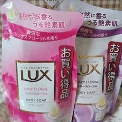 Lux2点