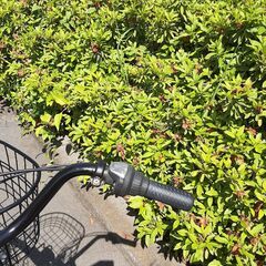 リサイクルショップどりーむ天保山店　No1144　自転車　黒　６段階ギア　LEDオートライト付き　カゴ付き　状態良好