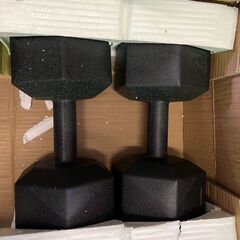 P15-003　ダンベル 10kg×2