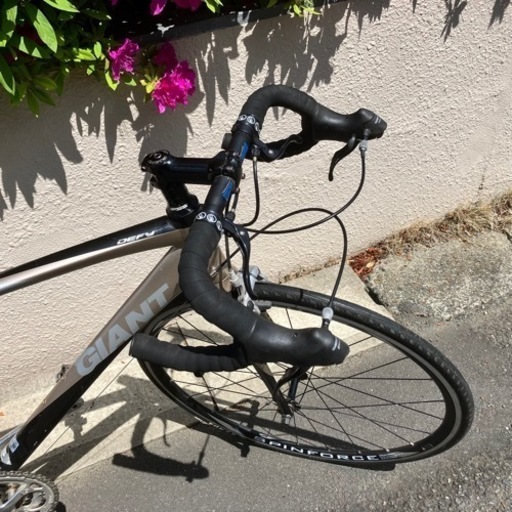 GIANT CONTEND ジャイアント ロードバイク 引き取り限定