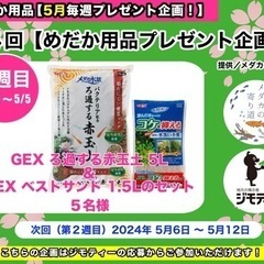 ③第4回【めだか用品プレゼント企画！】