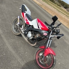 【ネット決済】TZR50R ゴールデンウィーク限定販売