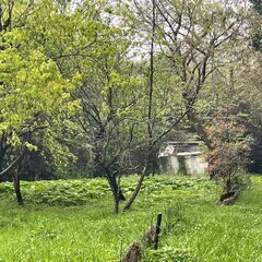 🌈売り土地　糸島市志摩桜井🌈