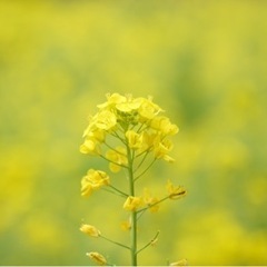 カメラで写真撮りながら📷