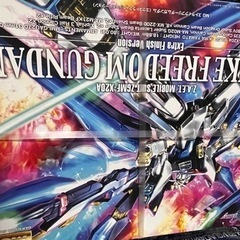 ガンプラ　MG　ストライクフリーダム　extra　