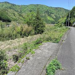 日高川町美山地区、熊野川の農地。