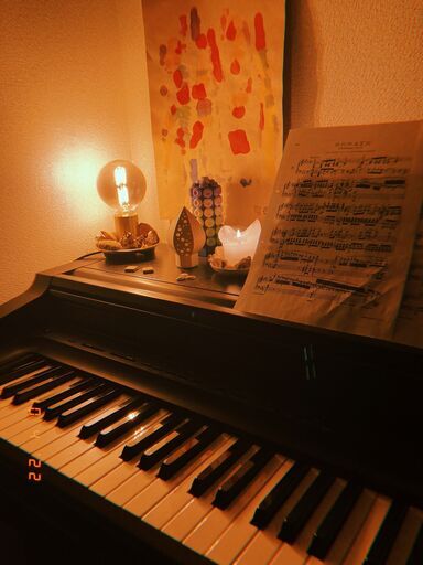 ピアノ CELVIANO  CASIO AP-55 引き取りのみ