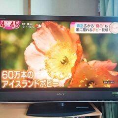 ソニー ４０型テレビ＋DVD
