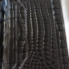 HERMES クロコダイル無双仕立て コカオン超美品