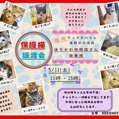 5/11(土)ᐕ)ﾉ 保護猫譲渡会　秦野渋沢