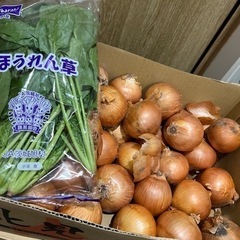 受け渡し者【決定】いたしました①国産お野菜セット