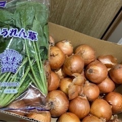 受け渡し者【決定】いたしました②国産お野菜セット