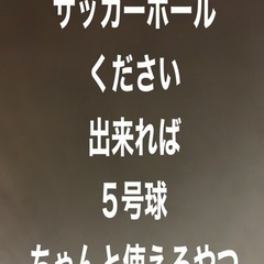 使えるサッカーボールください5号球