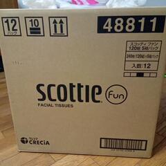 BOXティッシュ　scottie　5箱×12パック