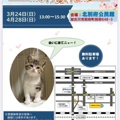 保護ねこの里親会　4/28 5/26 6/23 7/28 …