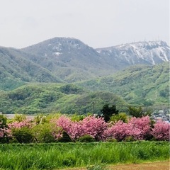 Let's 藻岩山登山♪ 