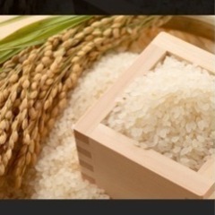 玄米30kg 令和5年度産　お米