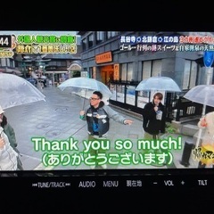 パナソニック CN-300D メモリーナビ 地デジ ナビ ストラーダ 