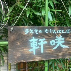 遂に入荷!山椒苗!!植物の無人販売処『軒咲(のきさき)』OPEN!!