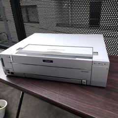 EPSON  PM-D1000 