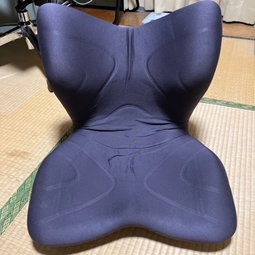 mtg style premium スタイルプレミアム 腰痛 骨盤 姿勢