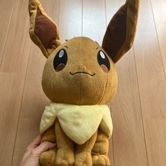 ★ポケモン　イーブイ　ぬいぐるみ★