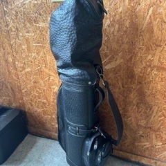 D2602 ゴルフクラブセット 12本 バック付 ゴルフスタートさせる方に 