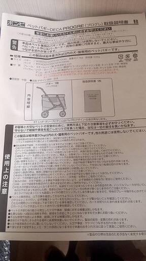 バギー