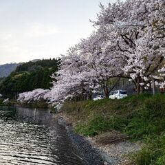 バス釣り友達が欲しい〜(⁠^⁠^⁠)