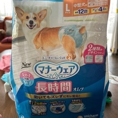 犬オムツトイレ用品