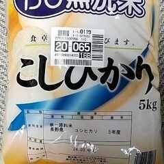 パールライス BG無洗米こしひかり5kg