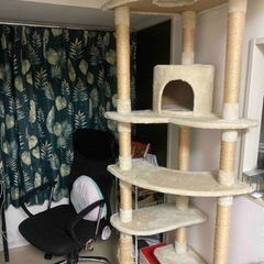 猫cat towerペットハウス