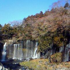 君津・七里川温泉♨️いきませんか🌼旭