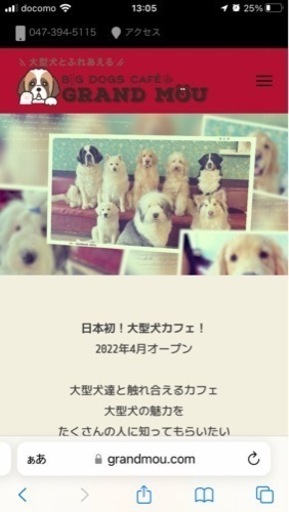 大型犬カフェ　ぐらんむー入場予約2名　4/29 11:00〜